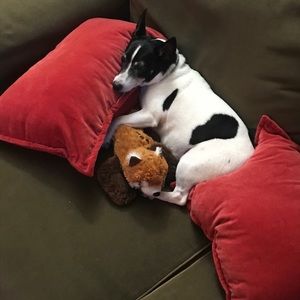 Meet your Posher, Heather